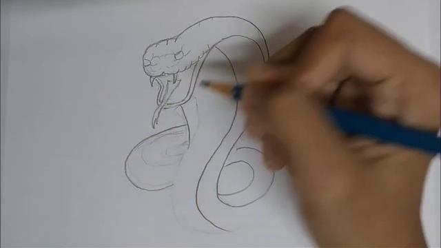 How to draw a Snake| Step by step| Easy drawing | Sketch смотреть онлайн