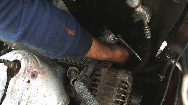 Чистота с улыбкой