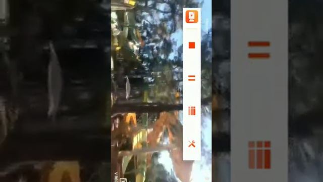 ~Мини влог~ Я лечу в Турцию?!? смотреть онлайн
