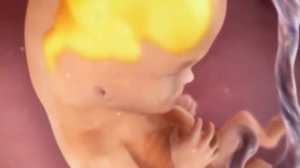 Икота Плода в Животе. Шевеления Ребёнка в Утробе.