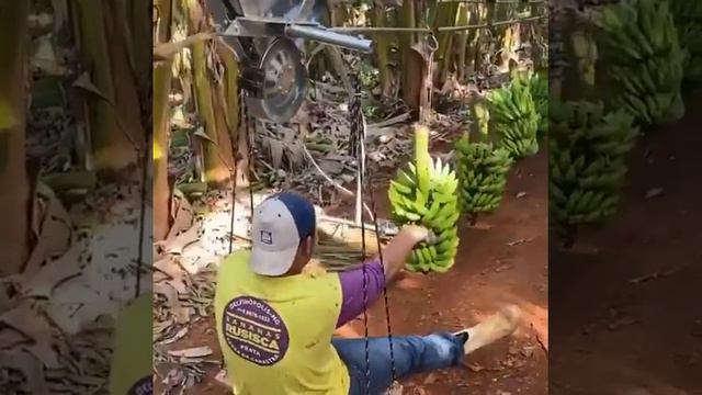 FREIO PARA TELEFÉRICO RURAL - CABO AÉREO - USO NA BANANA смотреть онлайн