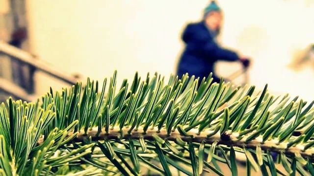 LUCRURILE MICI POT FI PRIVITE CU OCHI MARI ( Romania ) SONY CX 260 смотреть онлайн