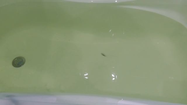 Воблеры тонущие в форме личинки. Sinking wobblers in the form of a larva. смотреть онлайн