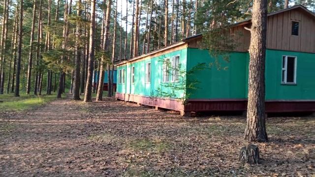Лучшие домики у озера ЯЛЬЧИК [4К] ? Прогулка на закате.#марийэл#лес#Яльчик #пансионат#отпуск#озеро смотреть онлайн