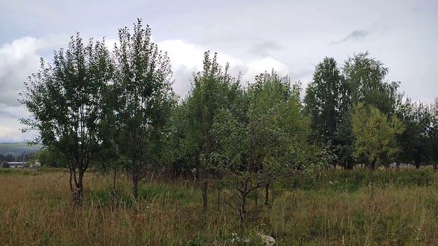 Погода в Пермском крае в конце августа смотреть онлайн
