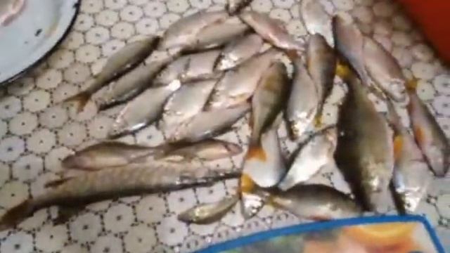 Видео отсчёт о зимней рыбалке на реке самара
