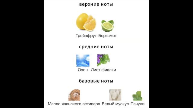 Обзор Аромата - DOLCE&GABBANA Light Blue Forever Pour Homme Eau De Parfum смотреть онлайн