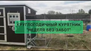 КУРЯТНИК, с которым МОЖНО ЖИТЬ БЕЗЗАБОТНО! ФЕРМЕРЫ РОССИИ уже оценили по достоинству! (1)