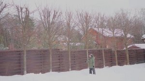 Весенняя обрезка лип