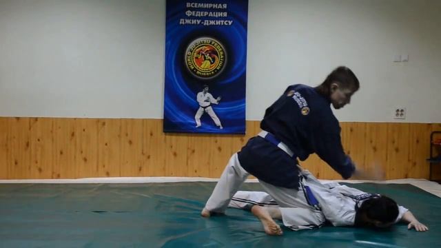 Всемирная Федерация Джиу-Джитсу и Кобудо (WJJF/WJJKO)