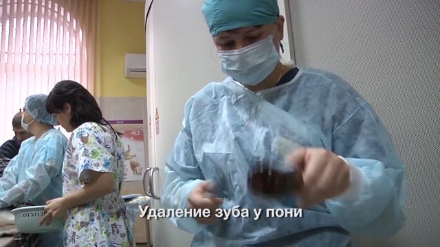 Экзотические животные в ветеринарной клинике «БЭСТ» смотреть онлайн