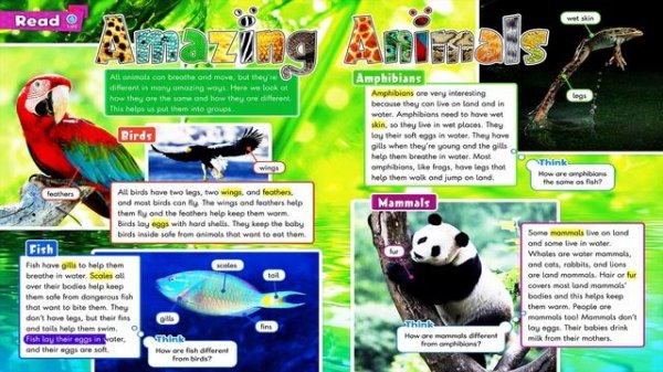 Oxford Discover 2  Unit 1   AMAZING ANIMALS text