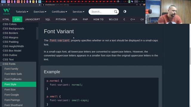 CSS Font Style смотреть онлайн