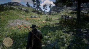 Где найти тысячелистник агератумный | Red Dead Redemption 2