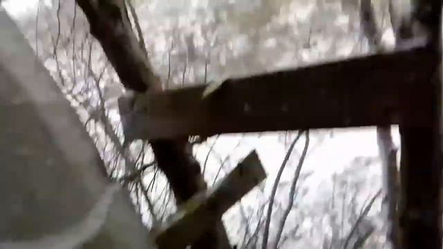 Как построить дом на дереве смотреть онлайн