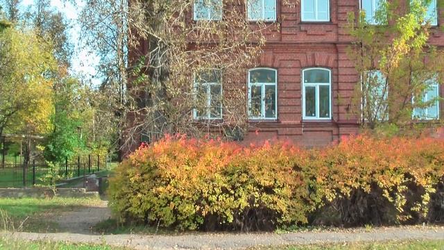 Листья жёлтые смотреть онлайн