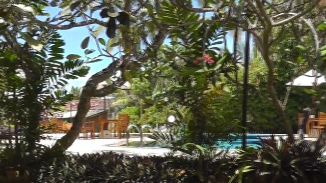 Hibiscus Beach Hotel - обзор отеля