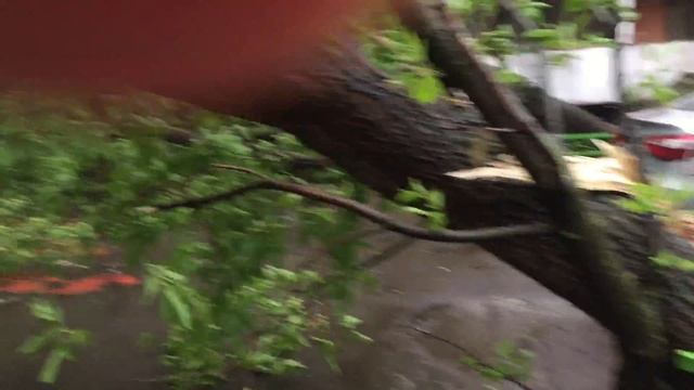 ЮВАО 8 ул. Текстильщиков 29.05.2017