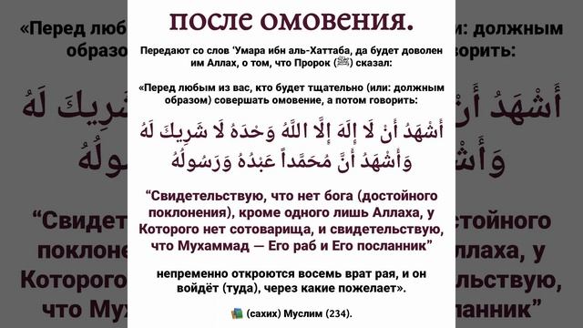 мольба после омовения ⬆️ смотреть онлайн