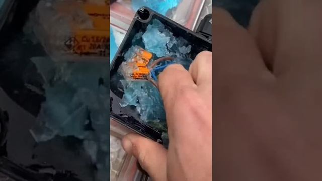 Зачем заливать распаечные коробки компаундом? #энерголикбез #за60сек смотреть онлайн