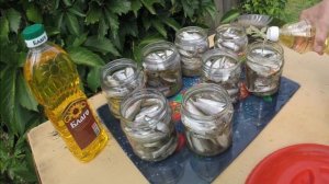 ПОДПИСЧИЦА Наталья делает консервы из уклейки | Консервы из речной рыбы