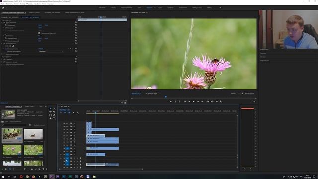 Курс Premiere Pro 