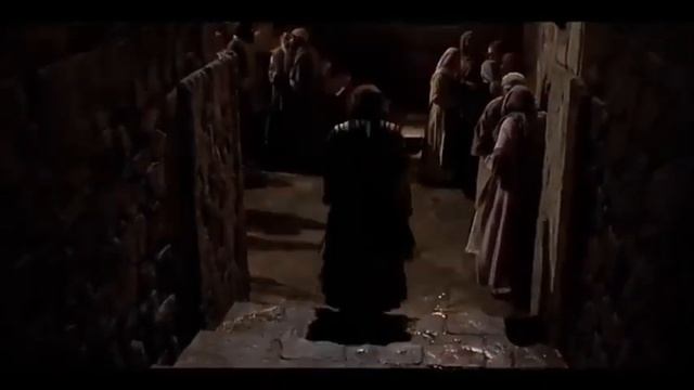 STED D - Мертвые розы смотреть онлайн