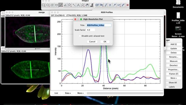 How to plot profile intensity for multiple fluorescence images in ImageJ смотреть онлайн