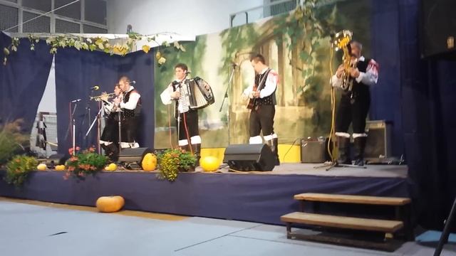 Ansambel Koroški Korenjaki- Veseli muzikant смотреть онлайн