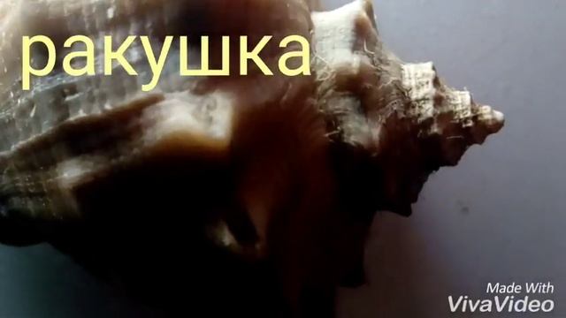 ЧТО ЭТО?[МАКРОМИР] смотреть онлайн