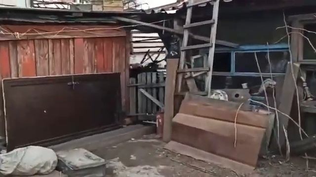 В Красноярске собака насмерть загрызла 5-летнего сына своих хозяев