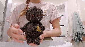 Как помыть Басика? | Моем Басика | Вечерний влог с Басиком