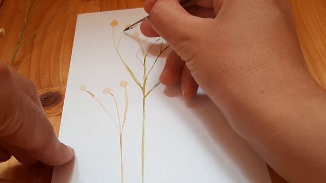 МОЯ КОШКА - ХУДОЖНИЦА. Вторая попытка нарисовать лён смотреть онлайн