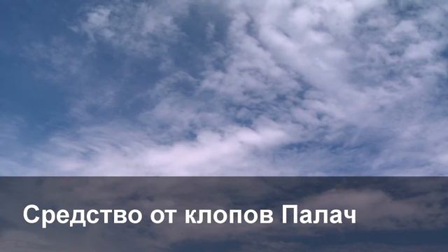 Средство от клопов Палач смотреть онлайн