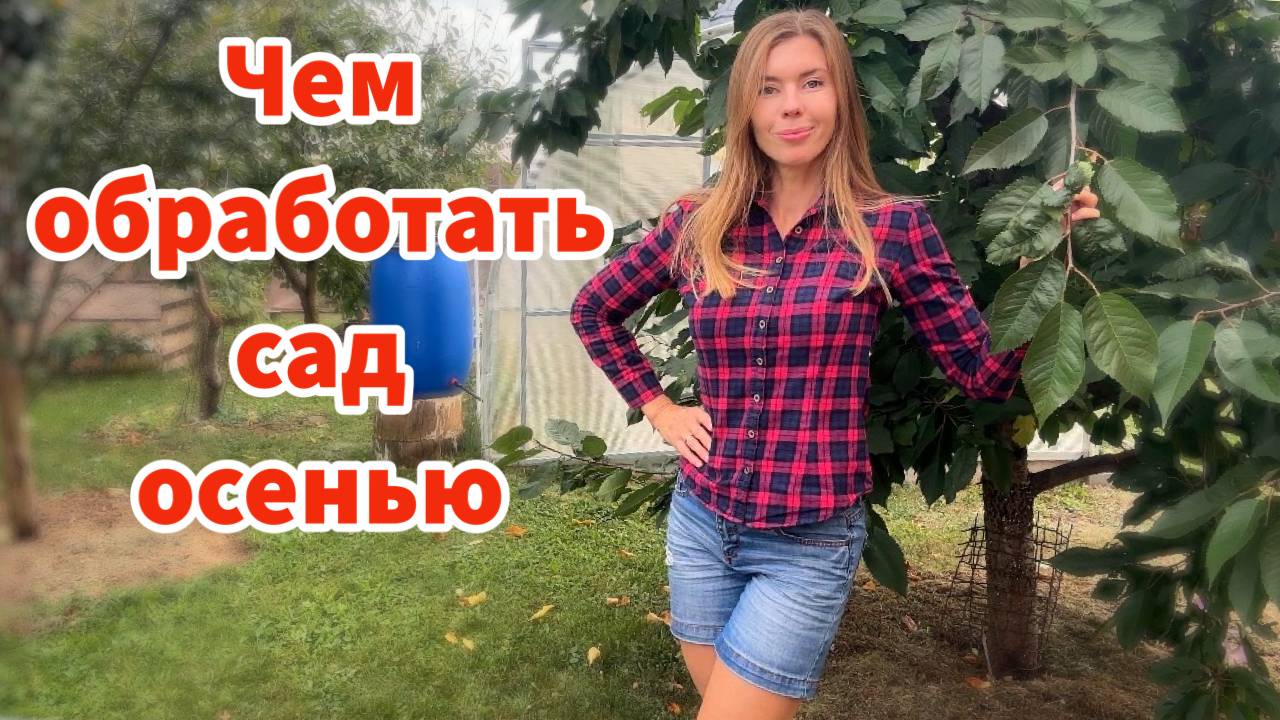 ЧЕМ ОБРАБОТАТЬ ПЛОДОВЫЕ ДЕРЕВЬЯ ОСЕНЬЮ ОТ БОЛЕЗНЕЙ И ВРЕДИТЕЛЕЙ смотреть онлайн
