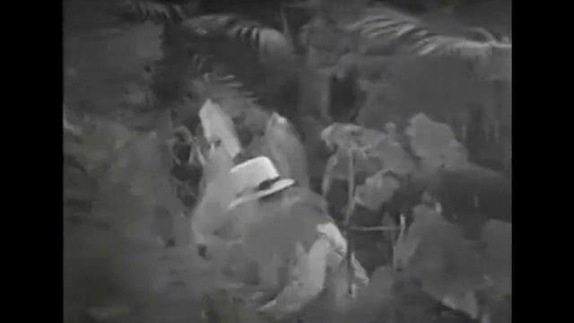 ISLE OF DESTINY (1940) | William Gargan |June Lang | Full Length Adventure Movie | English смотреть онлайн