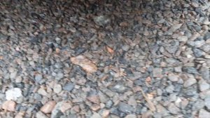 Замена галогенных ламп на Светодиодные LED лампы Цоколь H3 в противотуманки ВАЗ 2115!!!