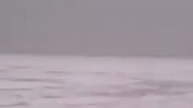 Зимняя рыбалка. Щербиновский район. п. Николаевка. 25.12.2016 смотреть онлайн