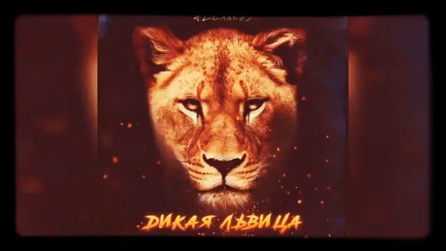 ALEX & RUS Дикая львица смотреть онлайн