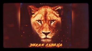 ALEX & RUS   Дикая львица