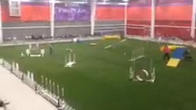 Elvis at nationals смотреть онлайн