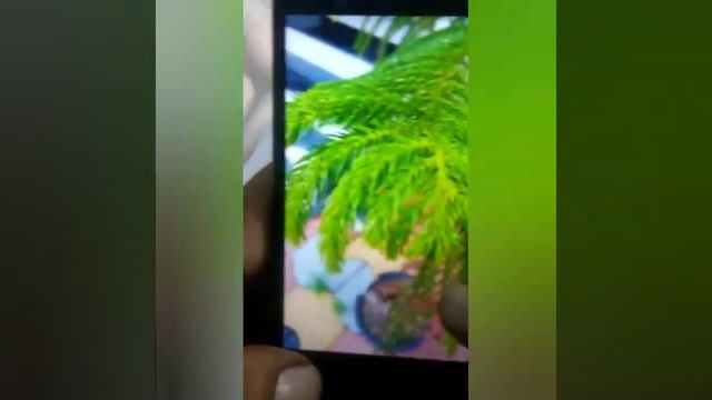 HUAWEI Y6 PRIME 2019 UNBOXING смотреть онлайн