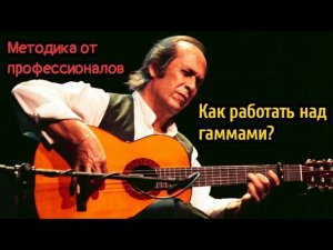 Как играть гаммы на гитаре