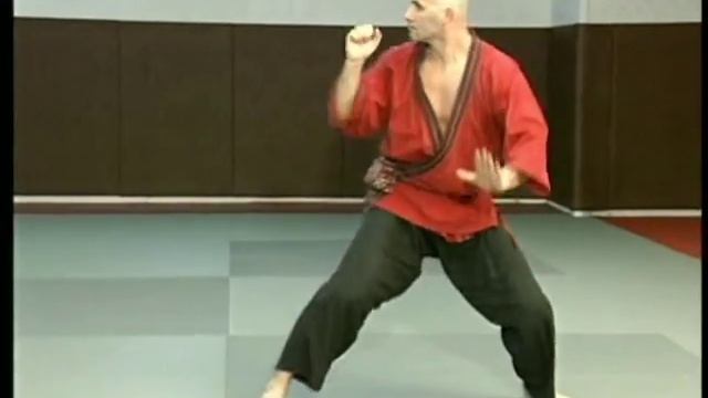 №2 #Positions #traditionnelles Franck #Ropers - #Pencak Silat Traditionnel смотреть онлайн