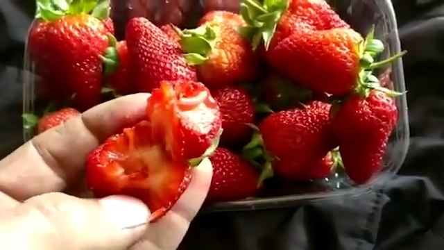 Клубника из Турции с живыми червями. смотреть онлайн