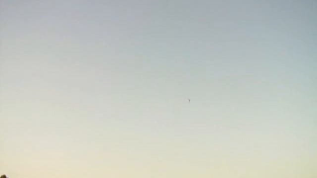 For Sale, Trex 450 Pro V2 3GX - Demo Flight смотреть онлайн