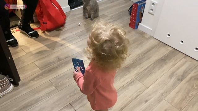 ВЛОГ 95 / Варшава / Сюрприз. Спортивна ліцензія. Затримка візи. Гламурне паті. |Nadiia Zhuk|Надя Жу смотреть онлайн