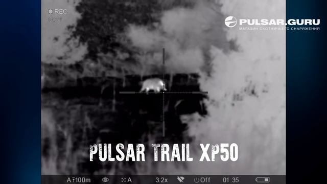 Охота с Pulsar Trail на кабана смотреть онлайн