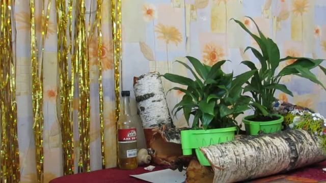 DIY Мастер класс-цветочное кашпо из коры дерева(Master class-flower pots out of tree bark) смотреть онлайн