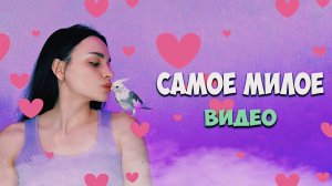САМОЕ МИЛОЕ ВИДЕО
